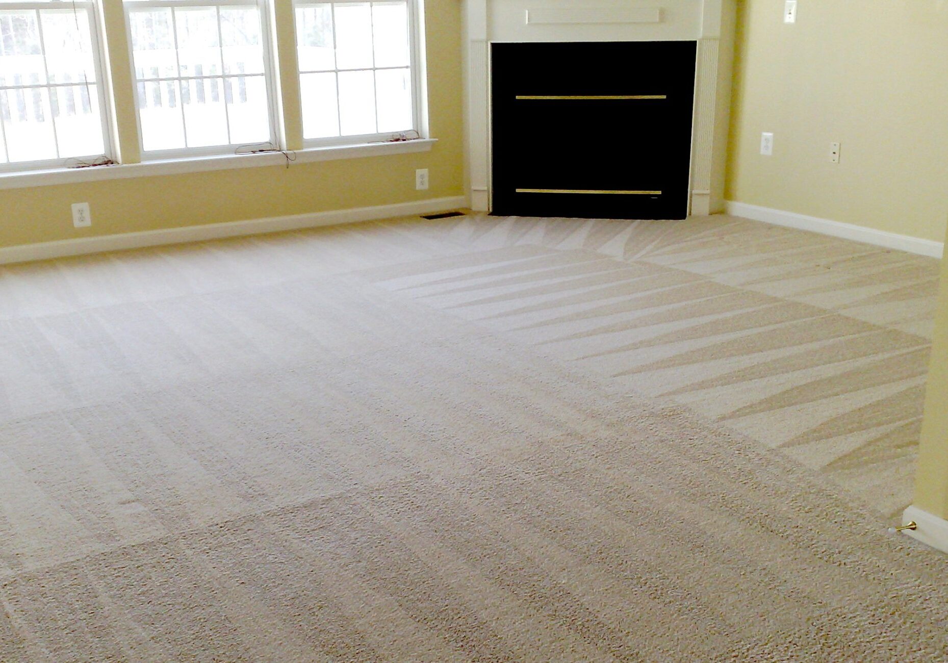 carpet cleaning york